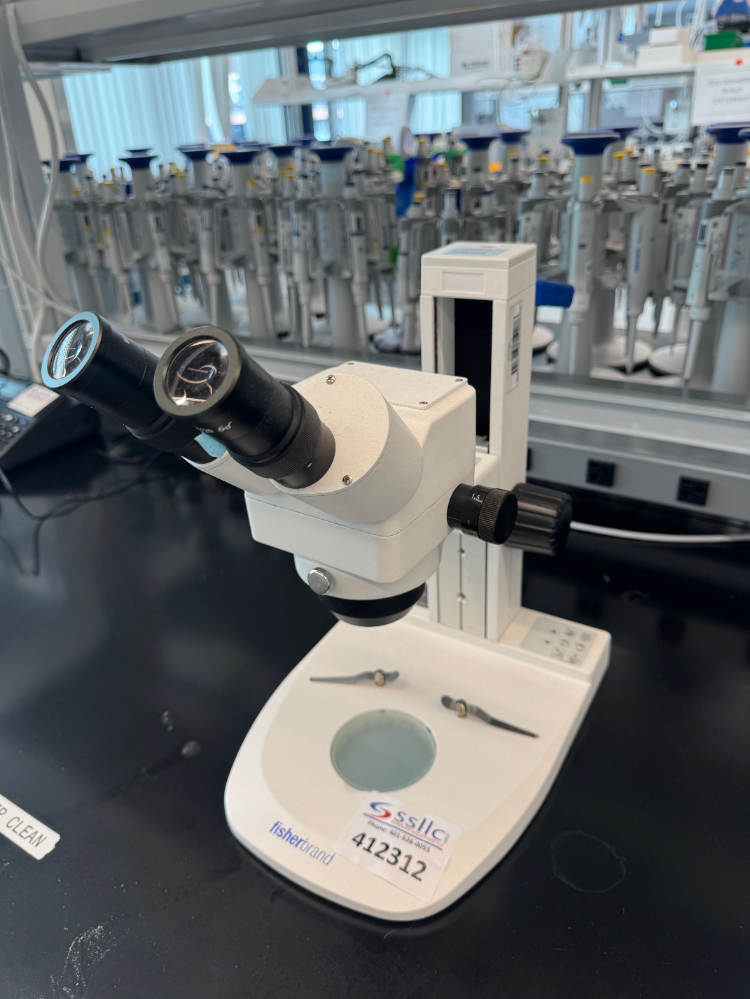 Image of Fisherbrand Stereo Microscope